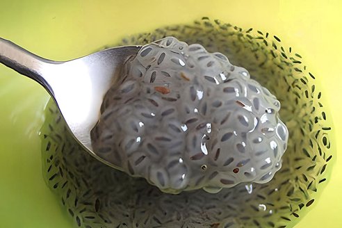 Chiasamen: Klein, aber vielseitig